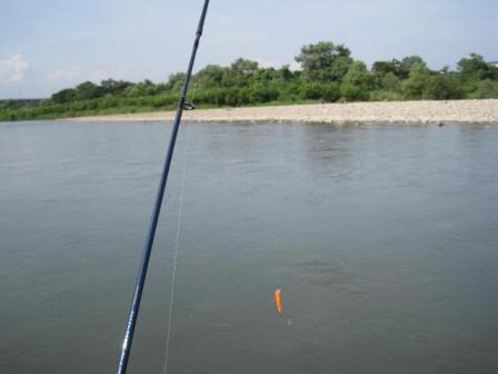 IMG_7598.jpg