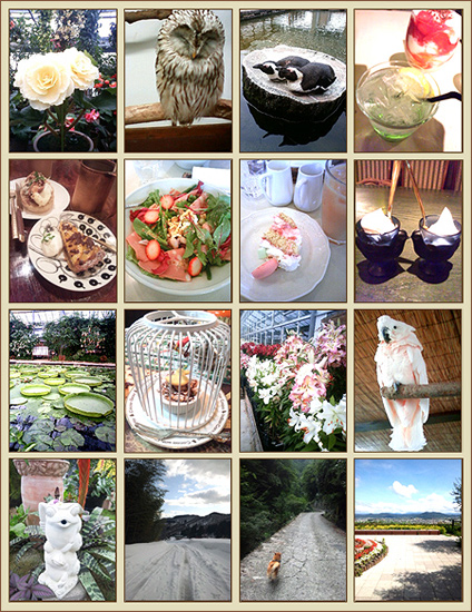 花とか鳥とかケーキとかある