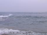 20120526_6.jpg