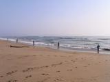 20120602_5.jpg