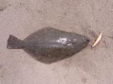 20120602_7.jpg
