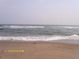 20120602_8.jpg