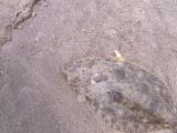 20120624_6.jpg