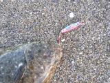 20120818_10.jpg