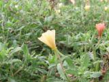 20120818_2.jpg
