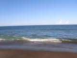 20120818_6.jpg
