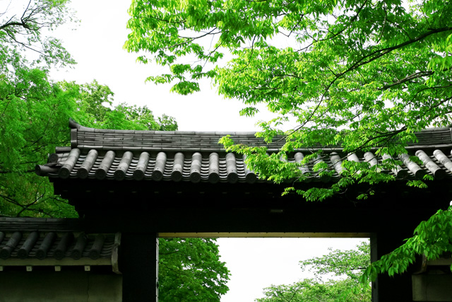 修行