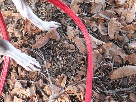 DSCF0308.jpg