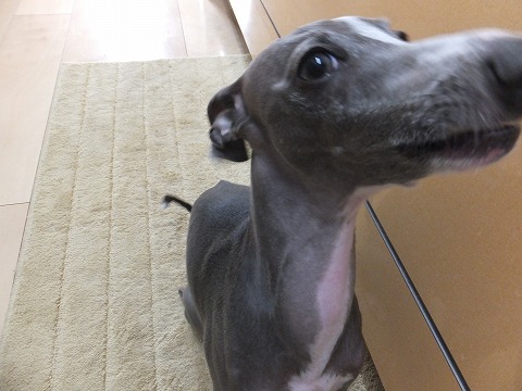 DSCF0331.jpg