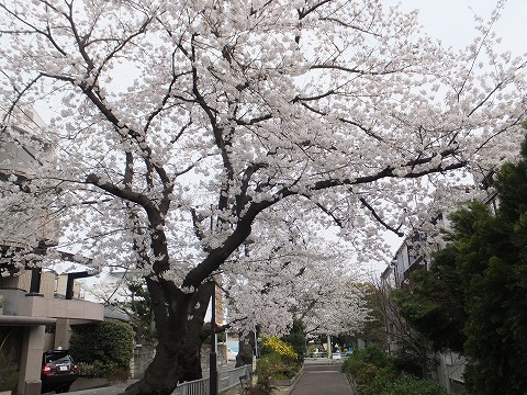 DSCF0336.jpg