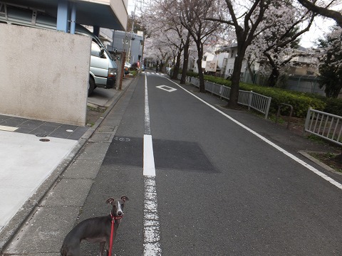 DSCF0338.jpg