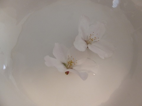 DSCF0340.jpg