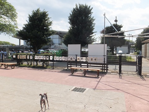 DSCF0491.jpg