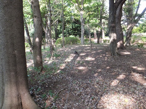 DSCF0492.jpg