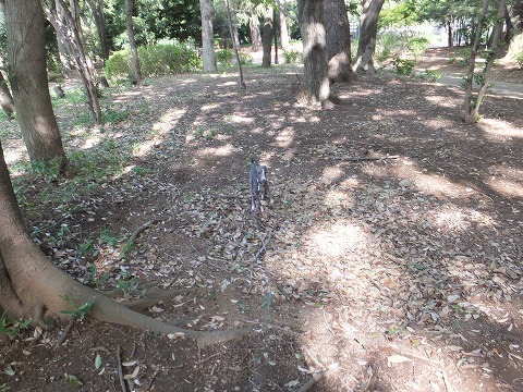 DSCF0493.jpg