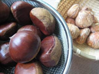 IMG_4425_convert_20121026210522.jpg