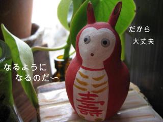 IMG_5478_convert_20130222165353.jpg