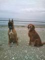 20120623134239.jpg