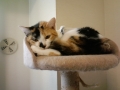 mike20140110
