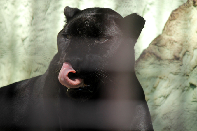 20120417_chape_05.jpg