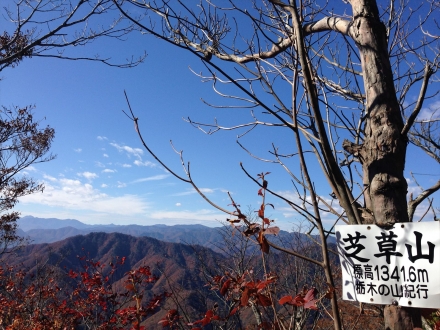 sibakusa (8)