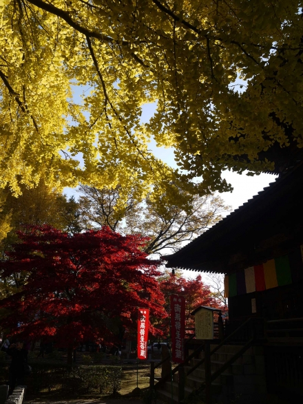 P1110179_R.jpg