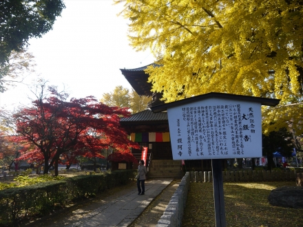 P1110185_R.jpg
