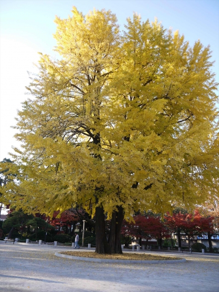 P1110195_R.jpg