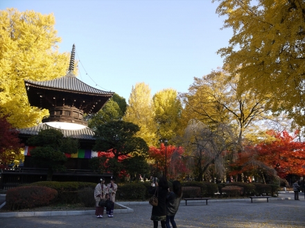 P1110200_R.jpg