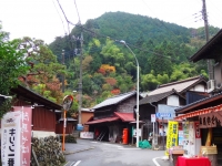 wada_20141102-4.jpg