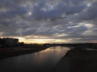 wada_20141116-02.jpg