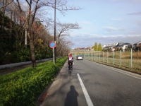 wada_20141116-03.jpg