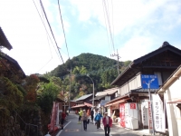 wada_20141116-06.jpg