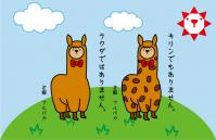 アルパカ