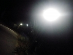 IMGP2148.jpg