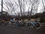 WP_002112.jpg
