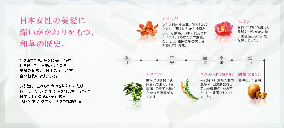 いち髪WS000013