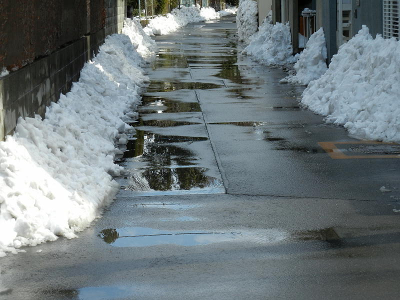 ご近所総出の雪かき