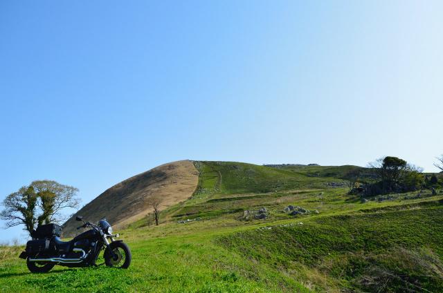 DSC_0406.jpg