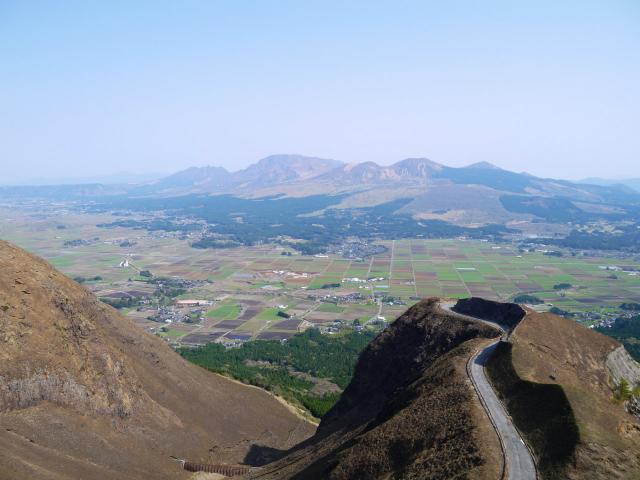 P1020011_1.jpg