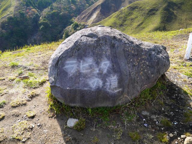 P1020012_1.jpg