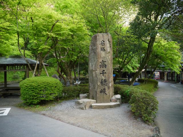 P1020055_1.jpg