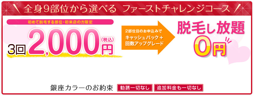 pc8_cart03.jpg