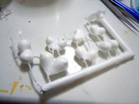 DSCN3660.jpg