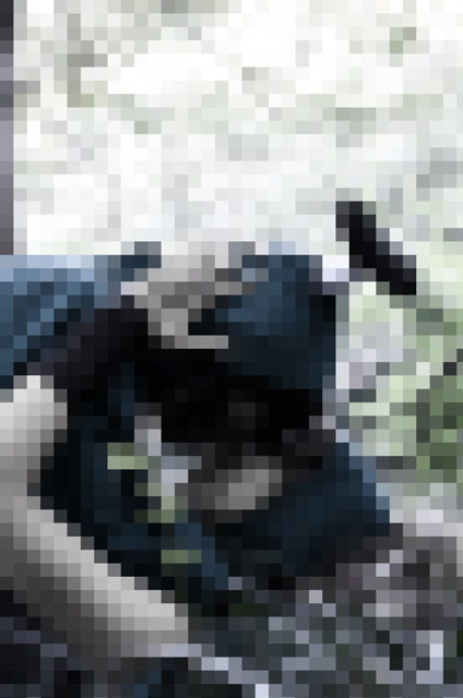 fsdsfaf.jpg