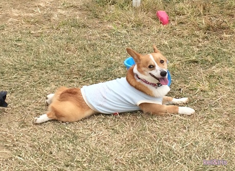 クールダウン♪