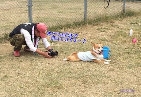 ケツ写真・・・