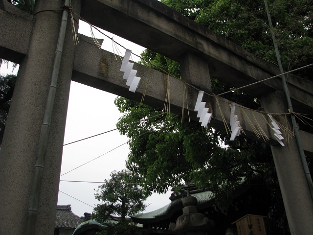 IMG_8245.jpg