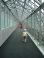 DSC03592.jpg