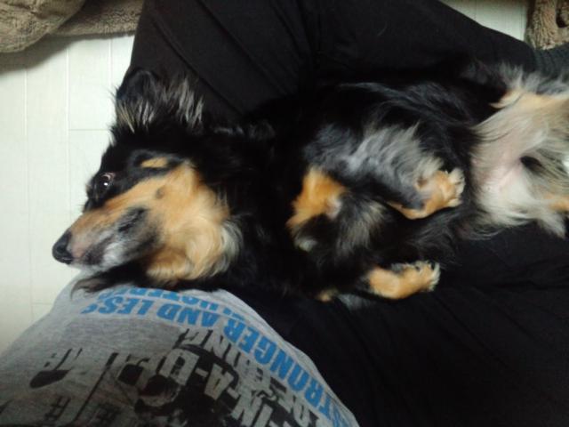 CA3H0008_20120502222052.jpg